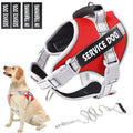No-Pull Dog Harness for Large Dogs