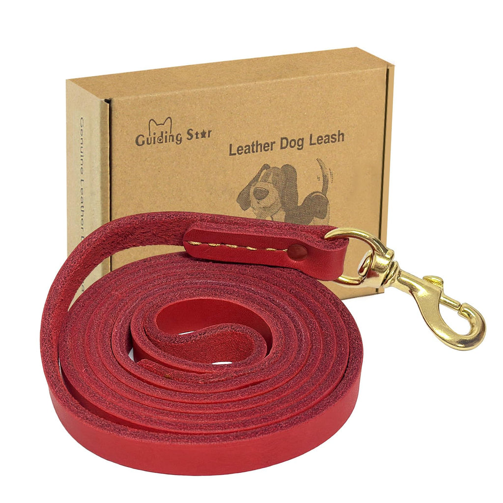 High Quality Leather Dog Leash, 6ft for Daily Walks