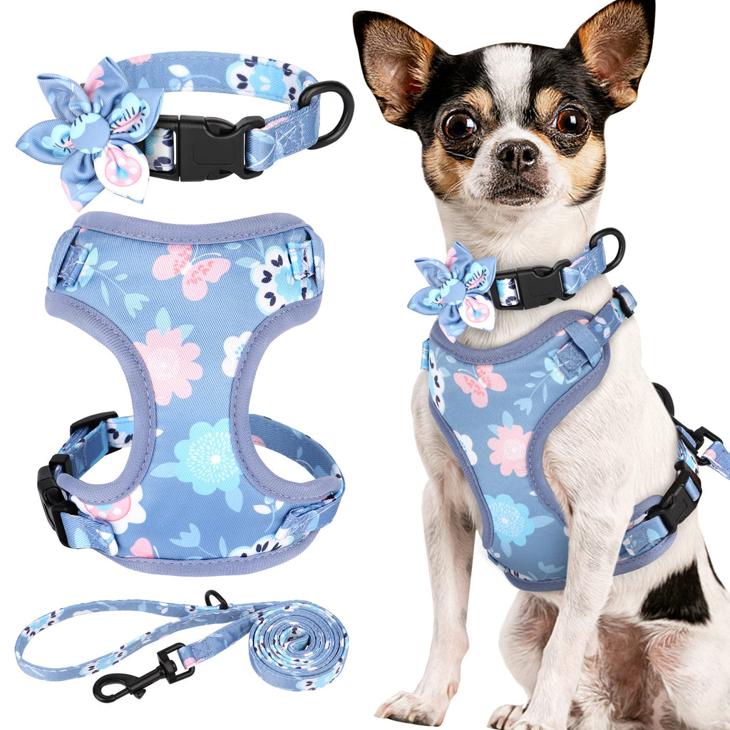 Small Dog Leashes and Harnesses for Puppies 