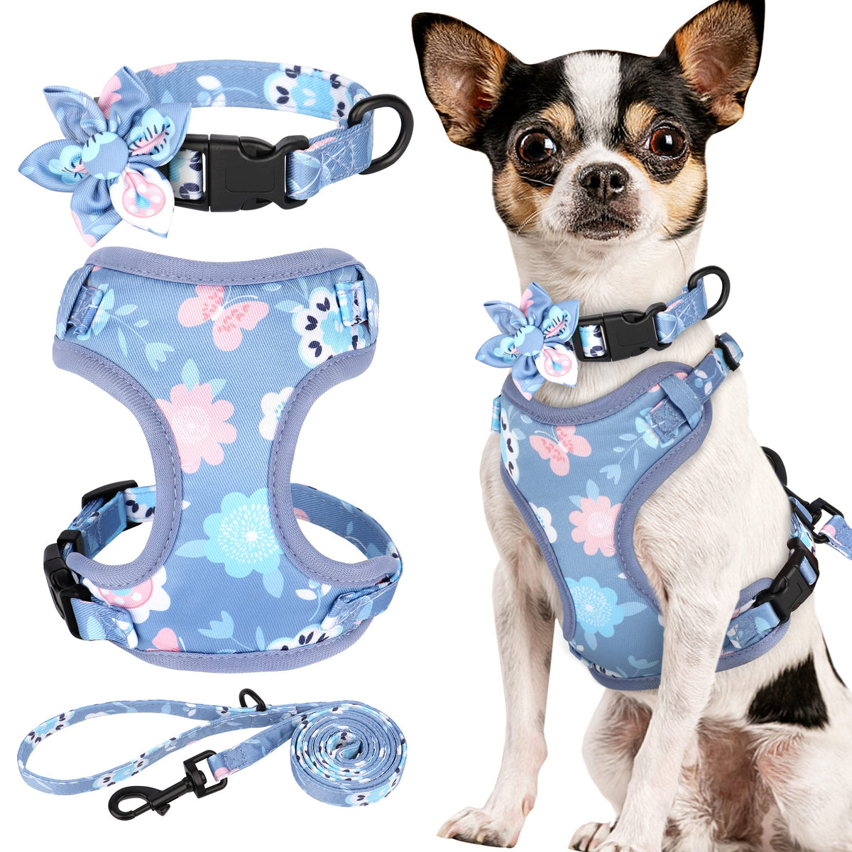 Small Dog Leashes and Harnesses for Puppies 