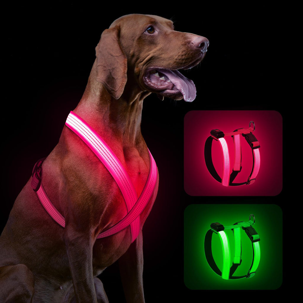 Lighted Dog Harness with LED, Rechargeable for Night Walks